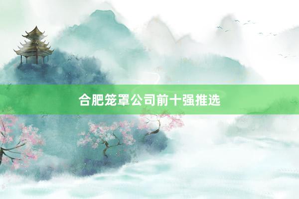合肥笼罩公司前十强推选